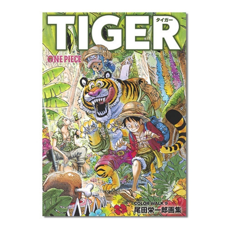 One Piece Illustration Book Co - Art Book Illustration ulasan dan harga