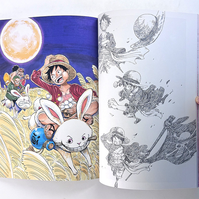 One Piece Illustration Book Co - Art Book Illustration ulasan dan harga