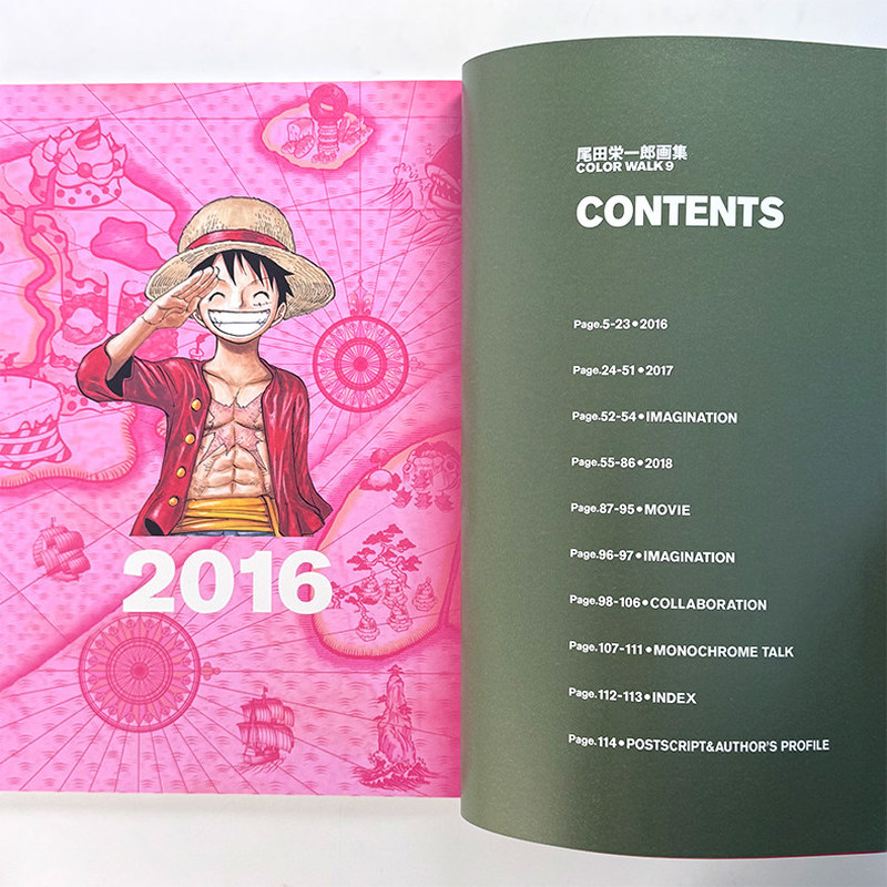 One Piece Illustration Book Co - Art Book Illustration ulasan dan harga